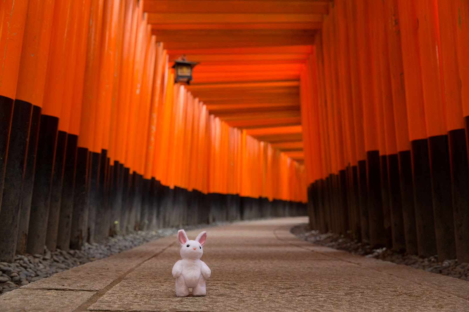 A Peaceful Moment at Fushimi Inari