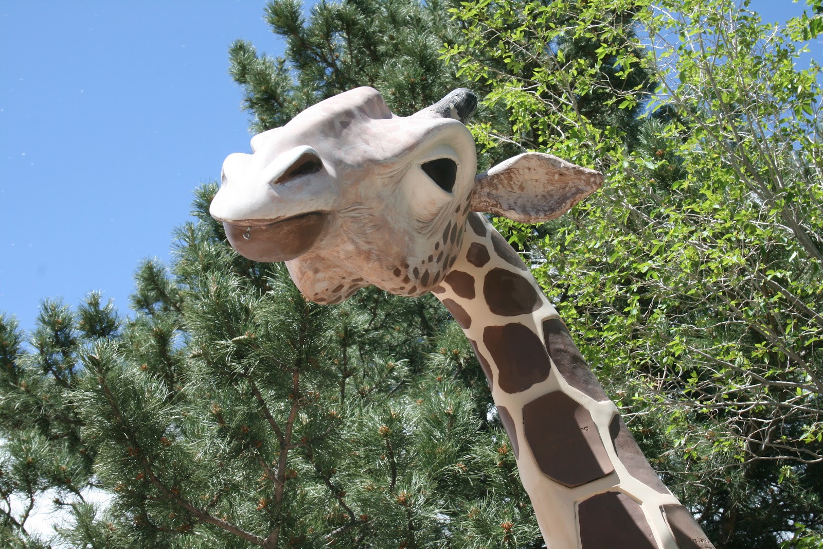 The Morel Family Colorado Springs Cheyenne Mountain Zoo Part 1