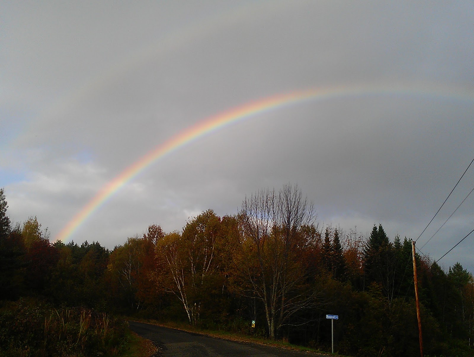 Life and Times on Pleasant Pond