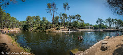 PISCINAS NATURALES