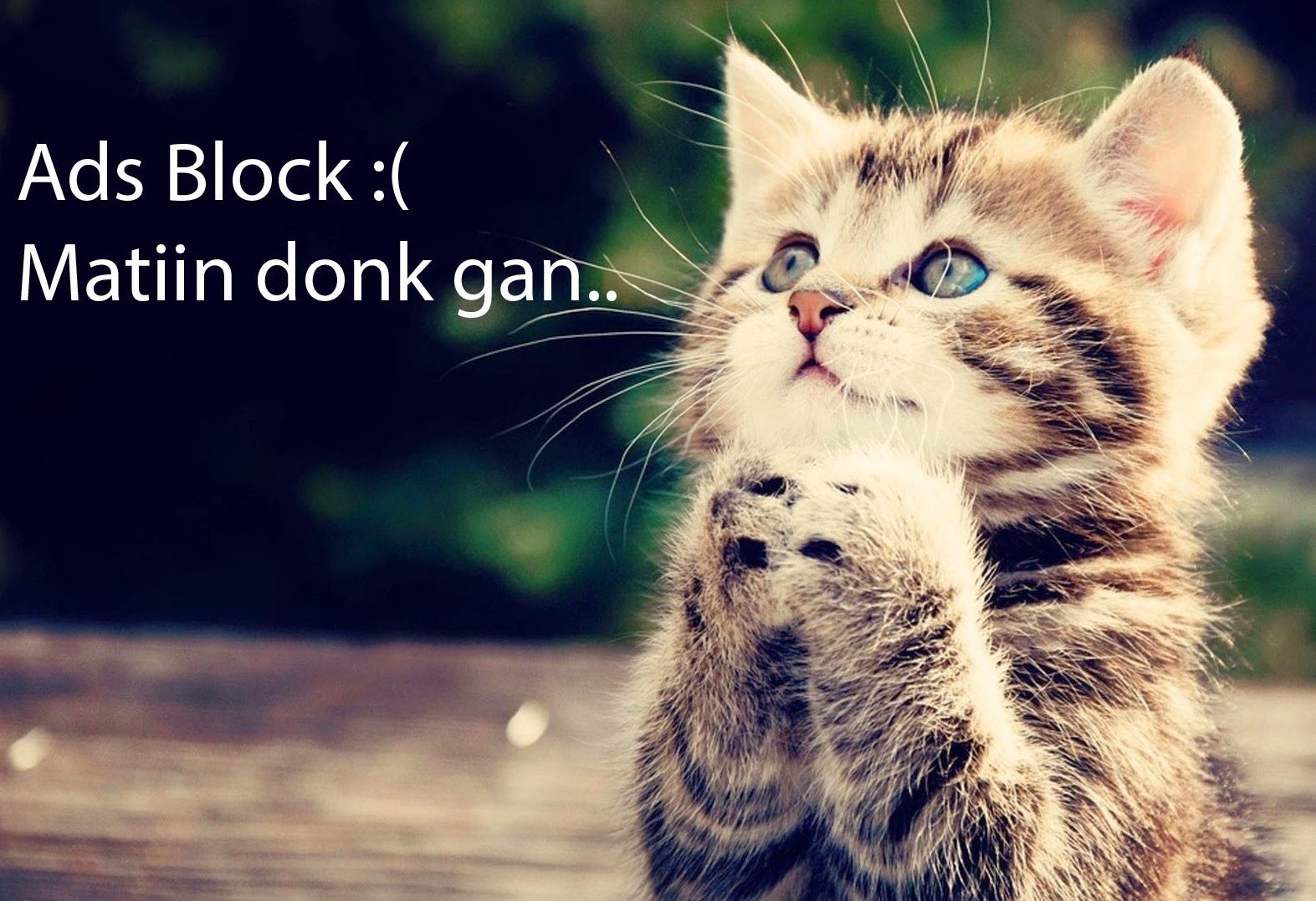 Cara Memasang Anti AdBlock dengan Gambar Cara Memasang Anti AdBlock dengan Gambar