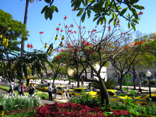 Funchal center Madeira