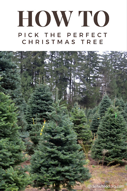How to Pick the Perfect Christmas Tree