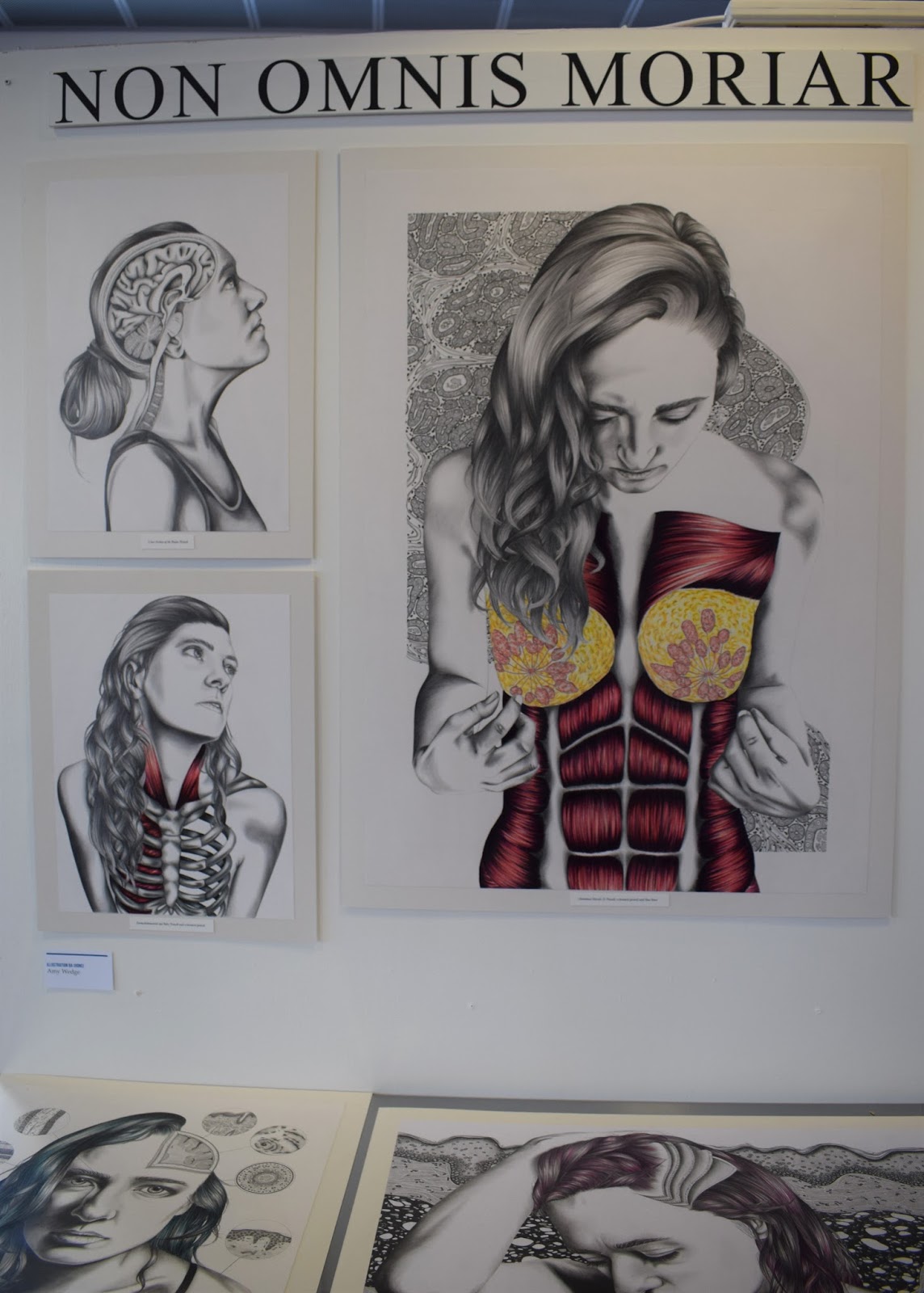 ECA degree show 2016, edinburgh college of art graduate,emerging designers UK, Amy Wedge, pretty anatomical illustration, modern medical illustration