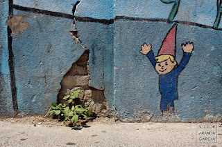 Naturaleza urbana Fotografía de una planta creciendo en un trozo roto de un muro junto a un gnomo pintado