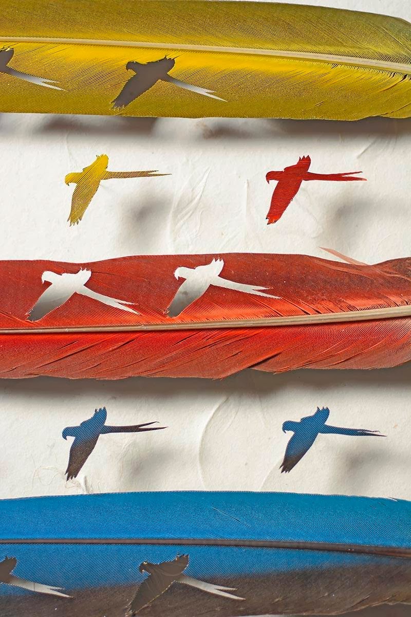 Feather Art by Chris Maynard