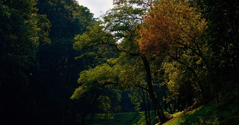 Landscapes of Mazovia Krajobrazy Mazowsza