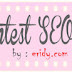 Contest SEO Eridy