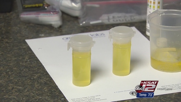 Texas TV channel investigated sale and use of synthetic urine Texas TV channel investigated sale and use of synthetic urine