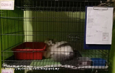 raya aidilfitri 2018 raya aidilfitri 2018