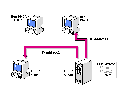 Порт протокола dhcp. Dhcp сервер. dhcp клиент. dhcp. dhcp адрес.