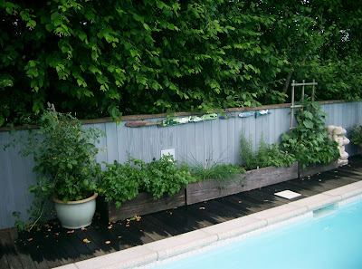 poolside vegetable and herb garden linda nelson at the createaerie