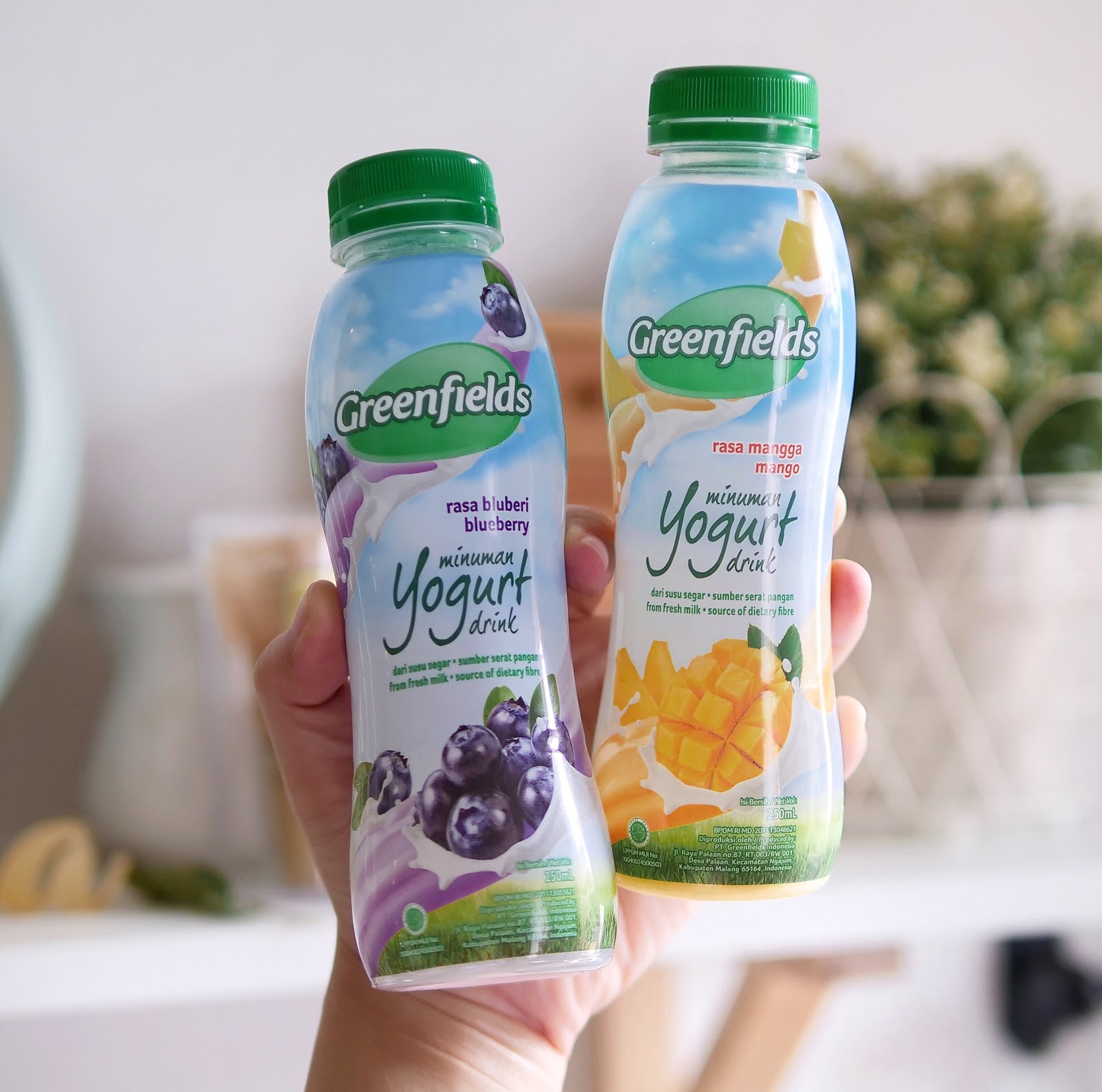 NEW! Greenfields Yogurt Drink Baru HeyTheresia Indonesian Food