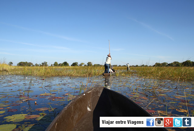 Visitar o DELTA DE OKAVANGO e explorar os seus canais | Botswana