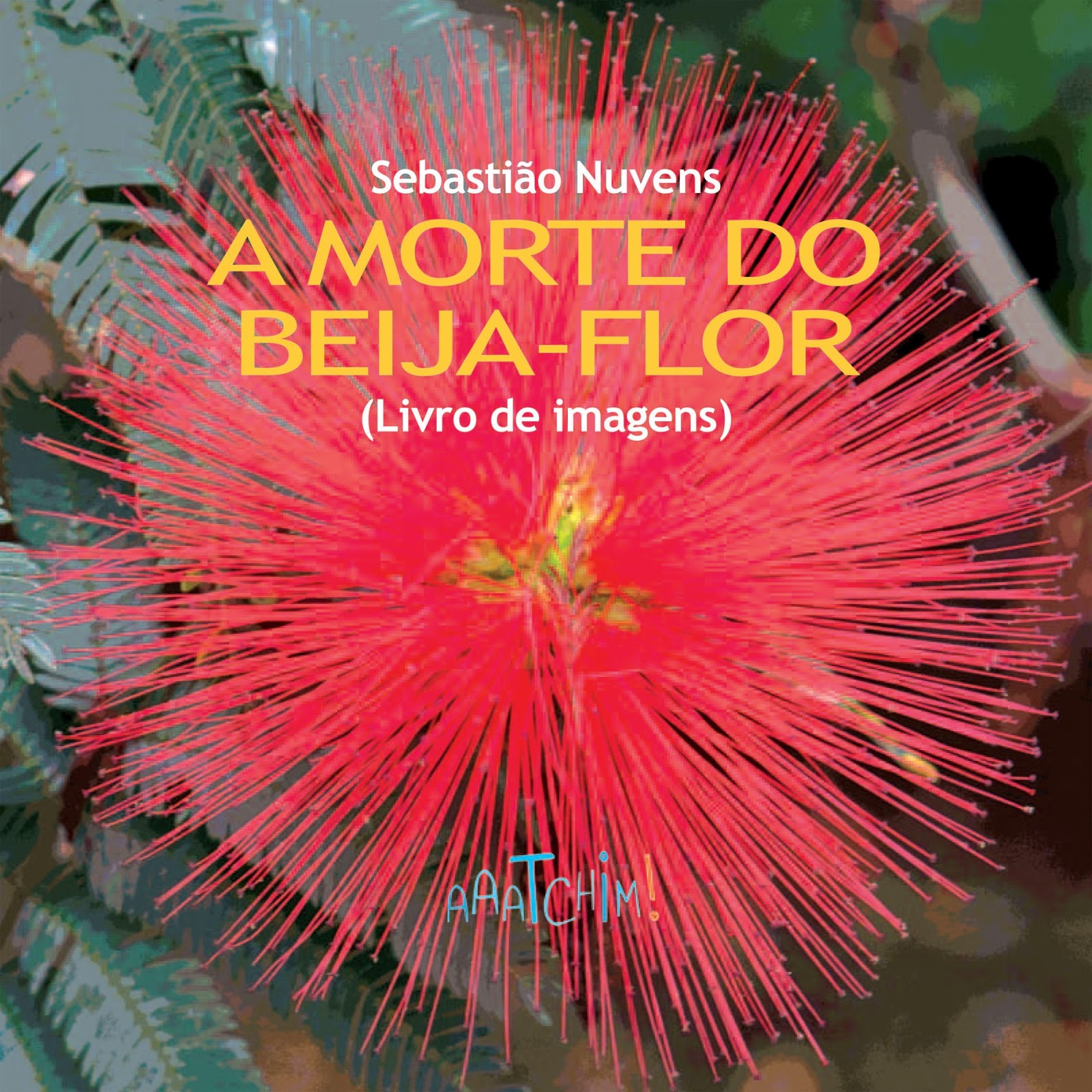 Aaatchim! Editorial A MORTE DO BEIJAFLOR (LIVRO DE IMAGENS), de Sebastião Nuvens Aaatchim! Editorial A MORTE DO BEIJAFLOR (LIVRO DE IMAGENS), de Sebastião Nuvens