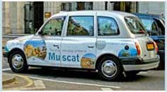colourful London taxi cab 2