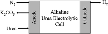 electrochemical oxidation urea