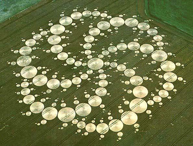 crop circle dengan pola unik dan tingkat kesulitan terbesar-15