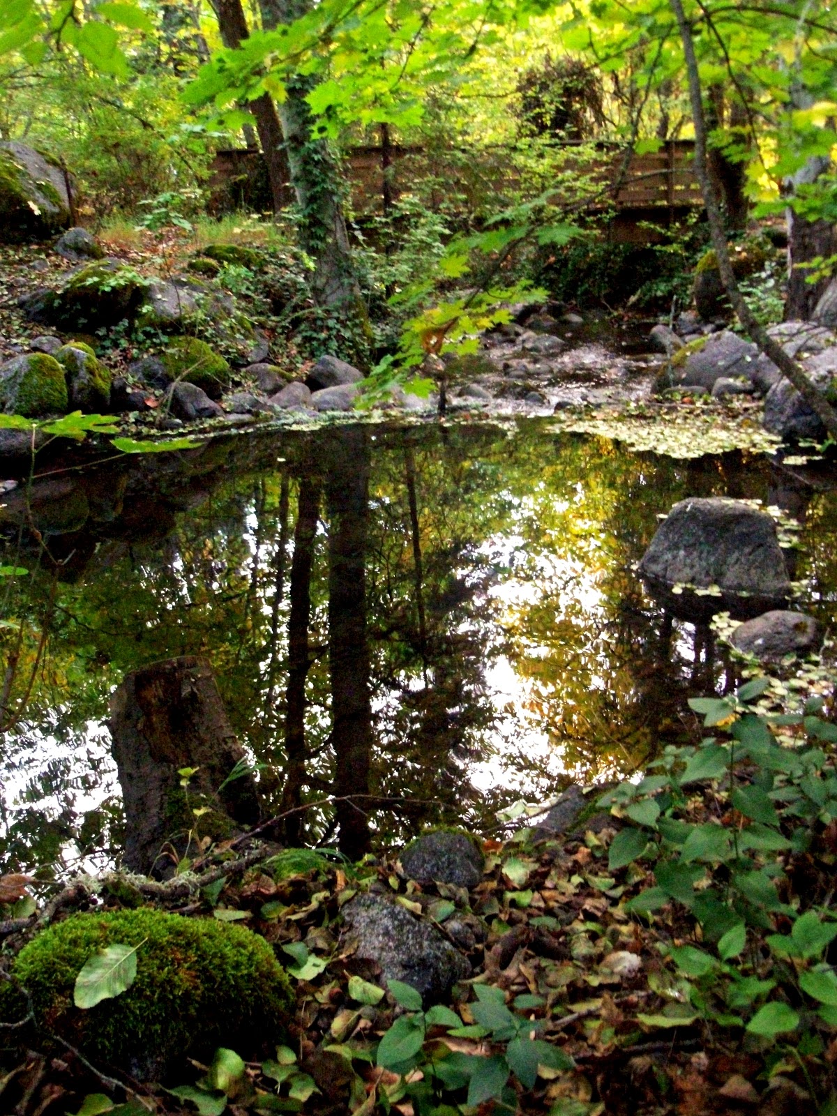 Page 29 Lithia Park in the Fall