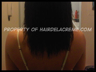 hairjourneyoct2011-1.jpg