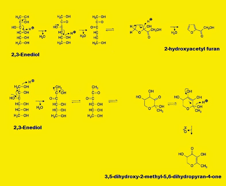 Fig. I.2b: Mechanism of formation of 2-hydroxyacetyl furan and 3,5-dihydroxy-2-methyl-5,6-dihydropyran-4-one from the intermediate 2,3-Enediol after water elimination and subsequent cyclization