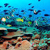 Pantai Padang Bai Bali Wisata Tersembunyi di Pantai Timur Bali