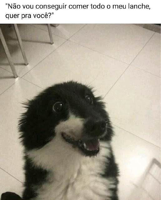 Memes engracados Memes engracados