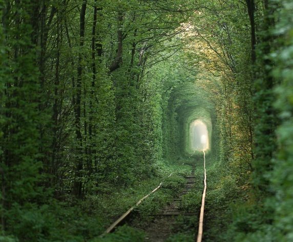 Tunnel of Love in Ukraine