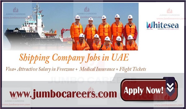 jumbo-careers-jobs-in-dubai-driver-teaching-qatar-oman-sharjah-uae