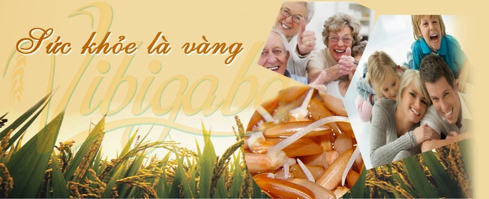 ai-nen-an-gao-mam-vibigaba ai-nen-an-gao-mam-vibigaba