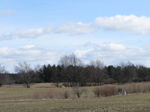 winter landscape