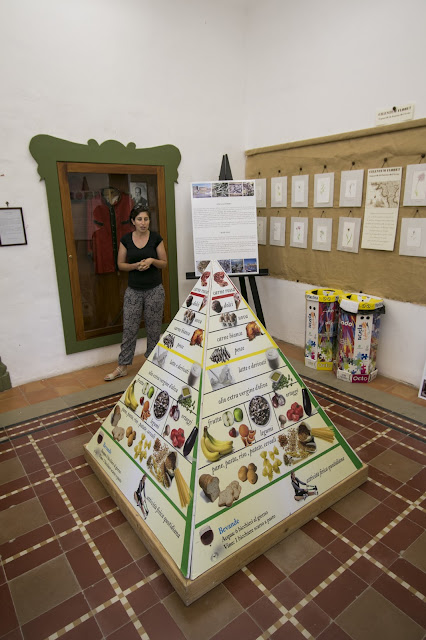 MuSea-Museo vivo del mare ed Ecomuseo della Dieta Mediterranea-Pioppi