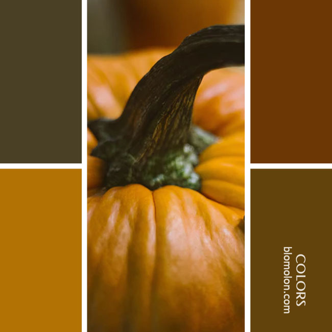 variedad en color combinacion 43 variedad_en_color_combinacion_43