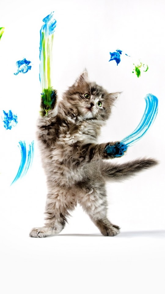   Cat Warrior   Galaxy Note HD Wallpaper