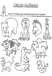 Animais domésticos e selvagens Animais domésticos e selvagens