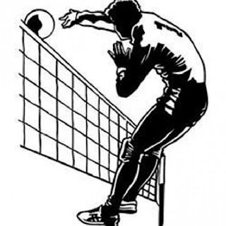 Sports Life: Volleyball