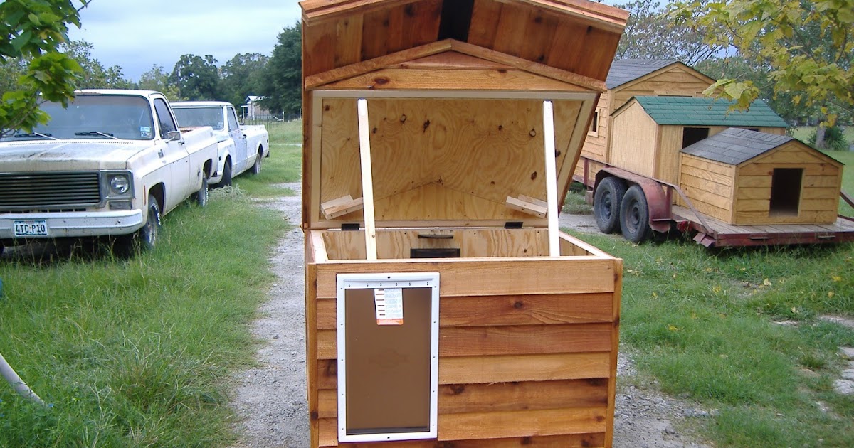 How to build a custom insulated dog house pretty rabbit houses