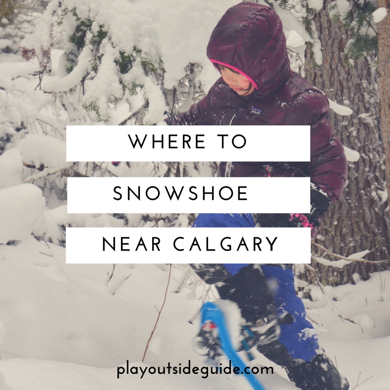 Where to Snowshoe Near Calgary Play Outside Guide