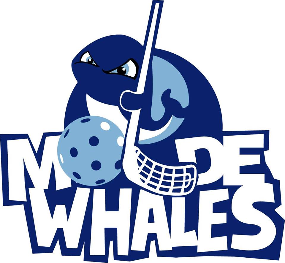 innebandy damer trondheim molde innebandy damer trondheim molde