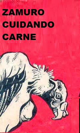 Resultado de imagen para ZAMURO CUIDANDO CARNE