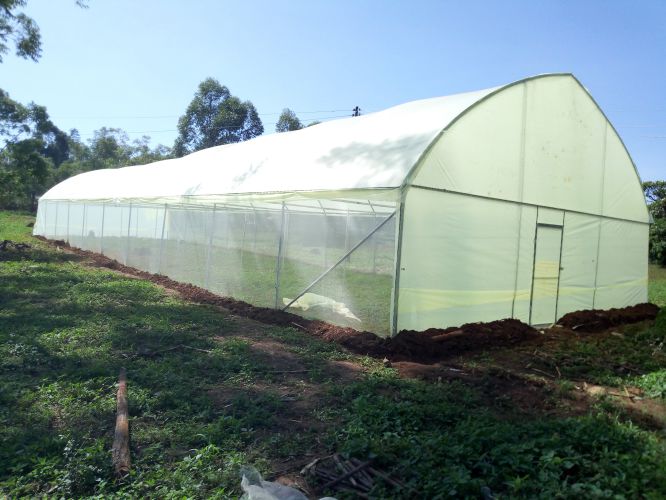 Kenya Greenhouse company[+254723053026]