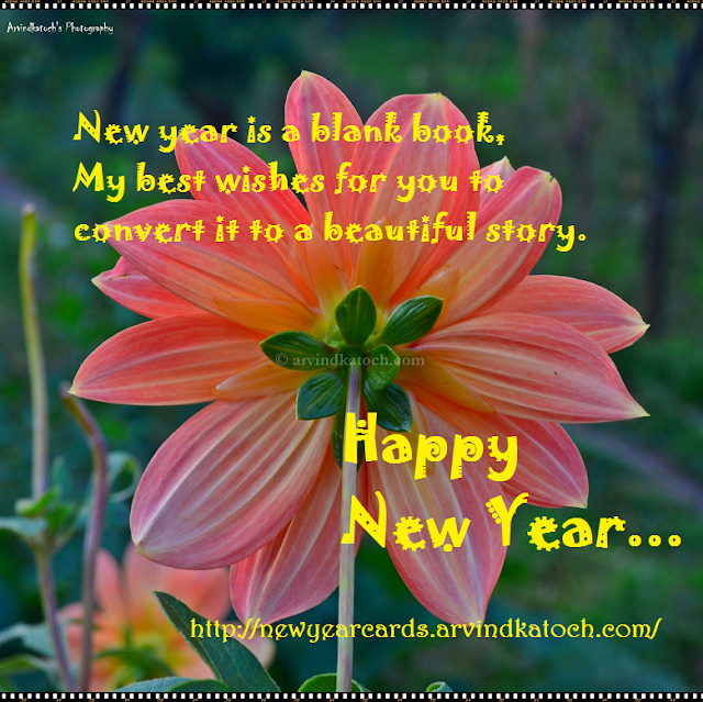 wishes, New Year, HD Card, Red Flower, New Year Card, Beautiful Story, 