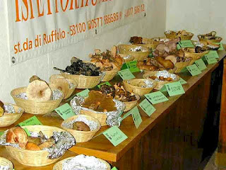  truffle festival at San Giovanni d’Asso
