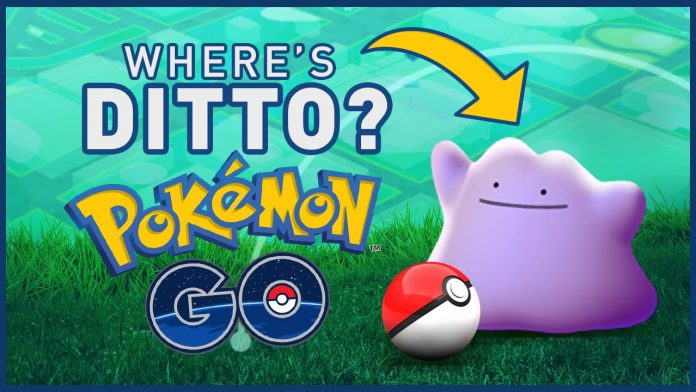 Ditto Has Been Found! 1