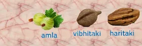 triphala