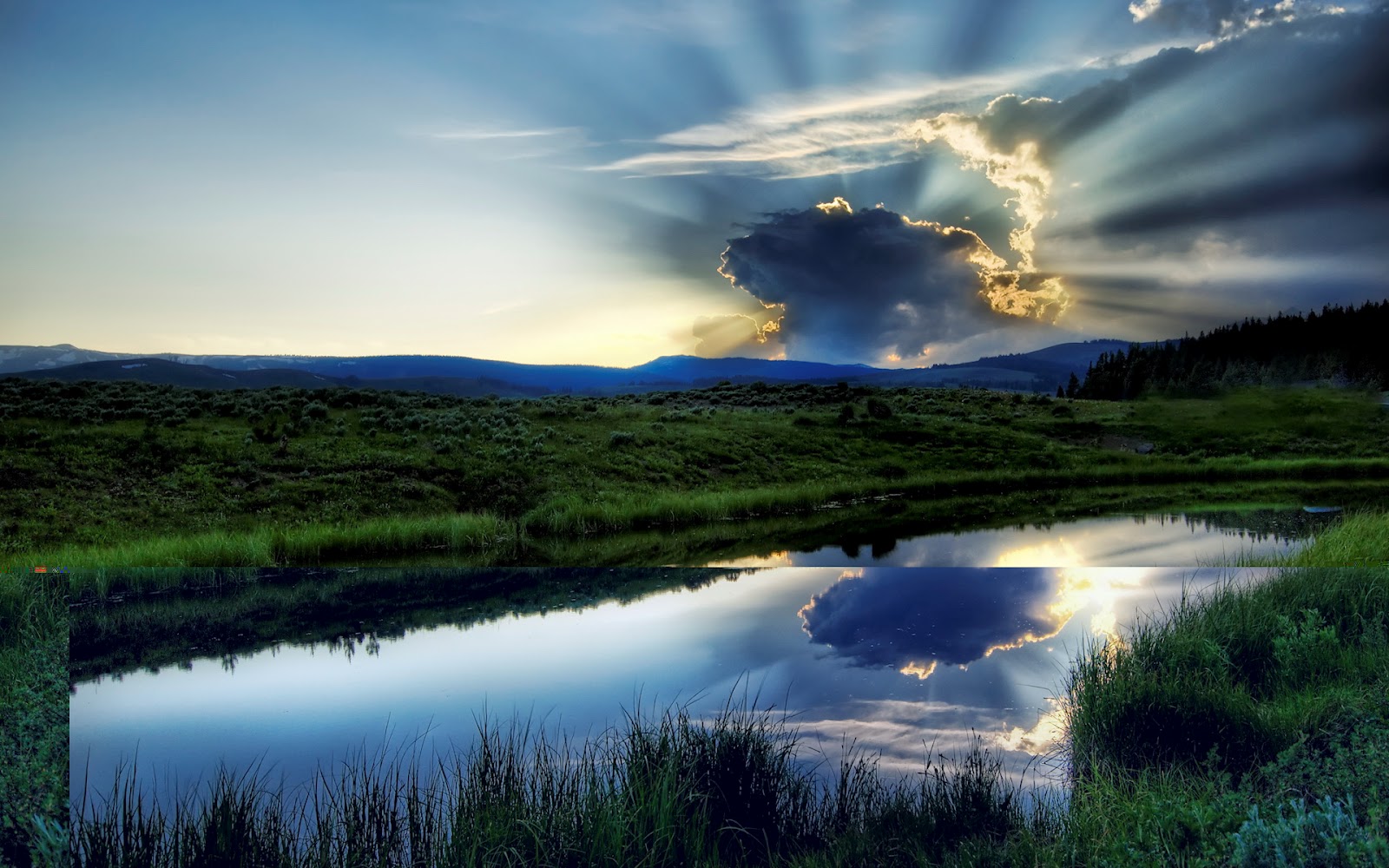 nature virtual background nature virtual background