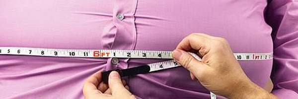 set kurus shaklee gemuk pejabat tips hilang berat