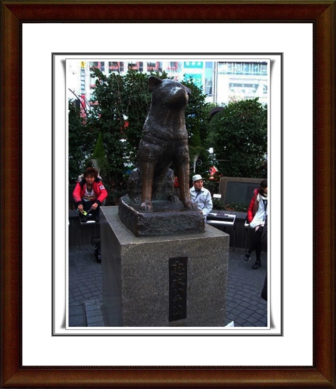 Historias de amor Historia de Hachiko