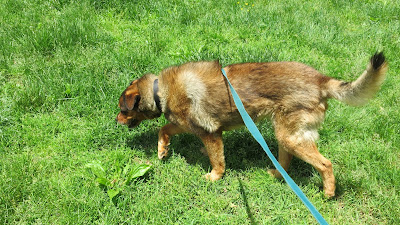 Theda, Sunday, May 15, 2016, 12:57:03 PM