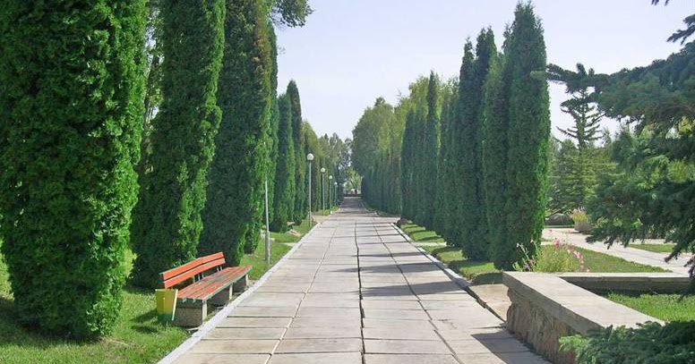 Аврора Иссык Куль